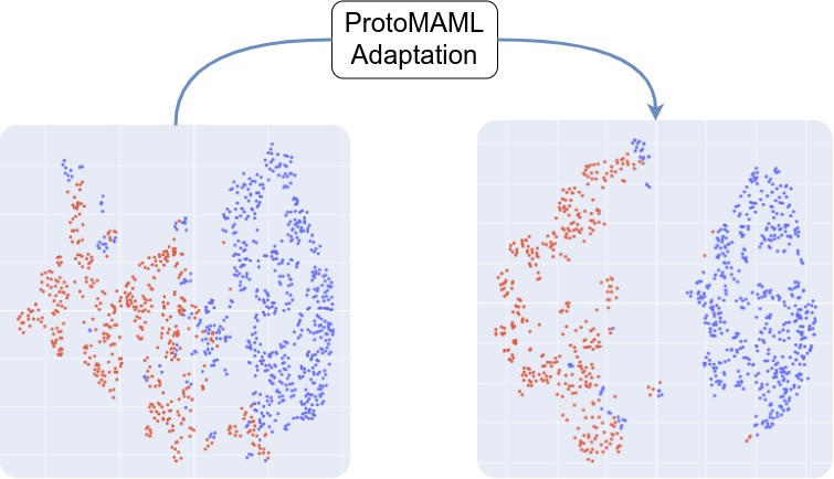 Descriptive Alt Text